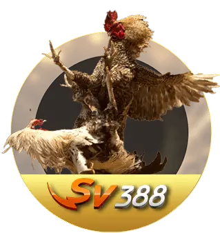 lioncitybet-cockfighting-sv388